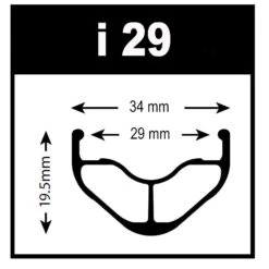 WTB Frequency Team - Endubikes -EBikes Accesorios 169108 01 d i29