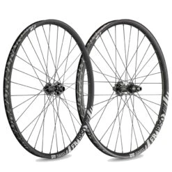 DT Swiss FR 1950 Classic - Endubikes