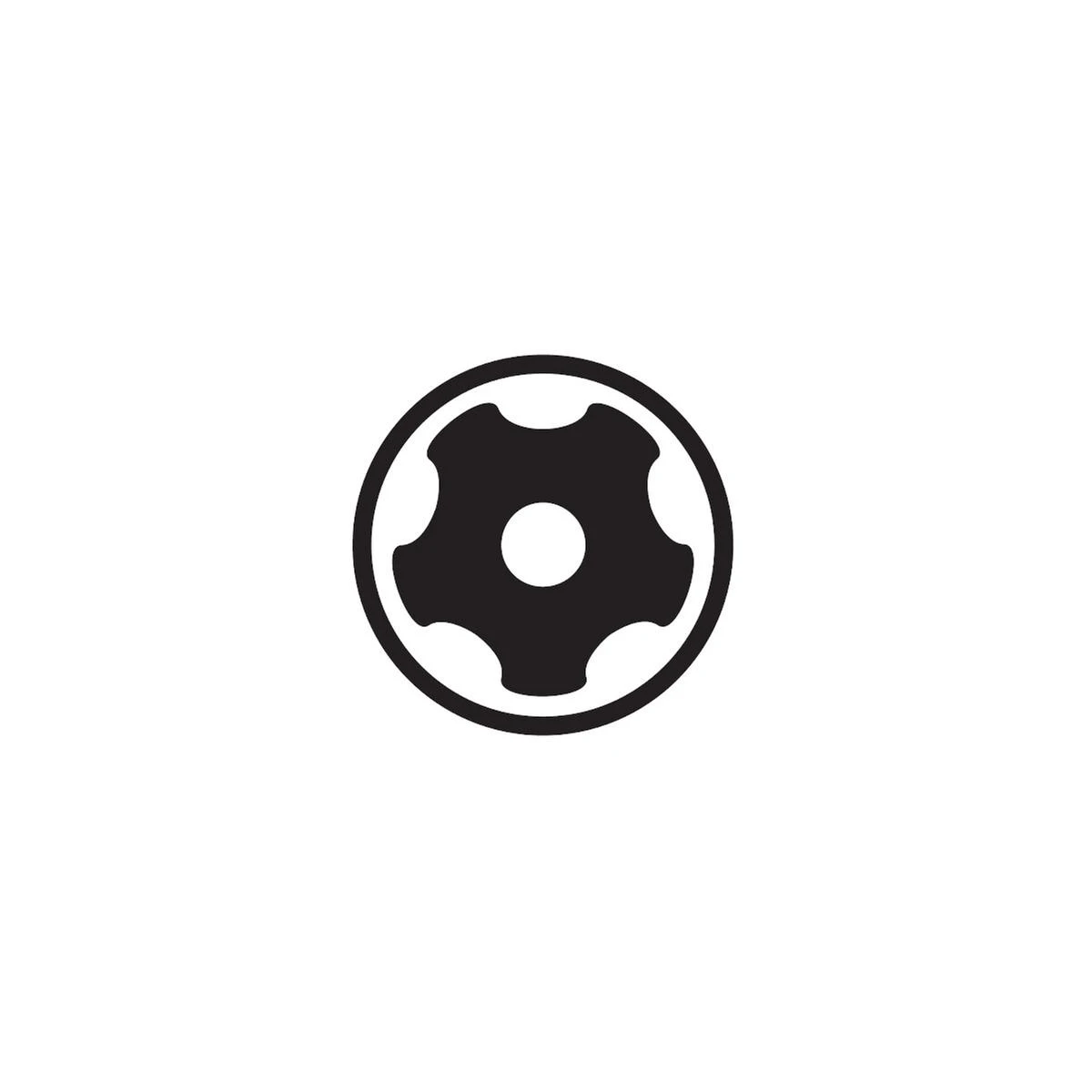 Punta TORX PLUS 25 IPR 1/4" - Endubikes 5 Punta TORX PLUS 25 IPR 1/4" - Endubikes - Imagen 3