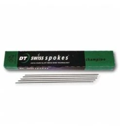 Radio DT Swiss Champion Straight Pull 2.0 Black 100.u - Endubikes