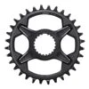 Plato SHIMANO XT 12x1 - Endubikes